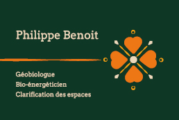 carte de visite philippe benoit impression