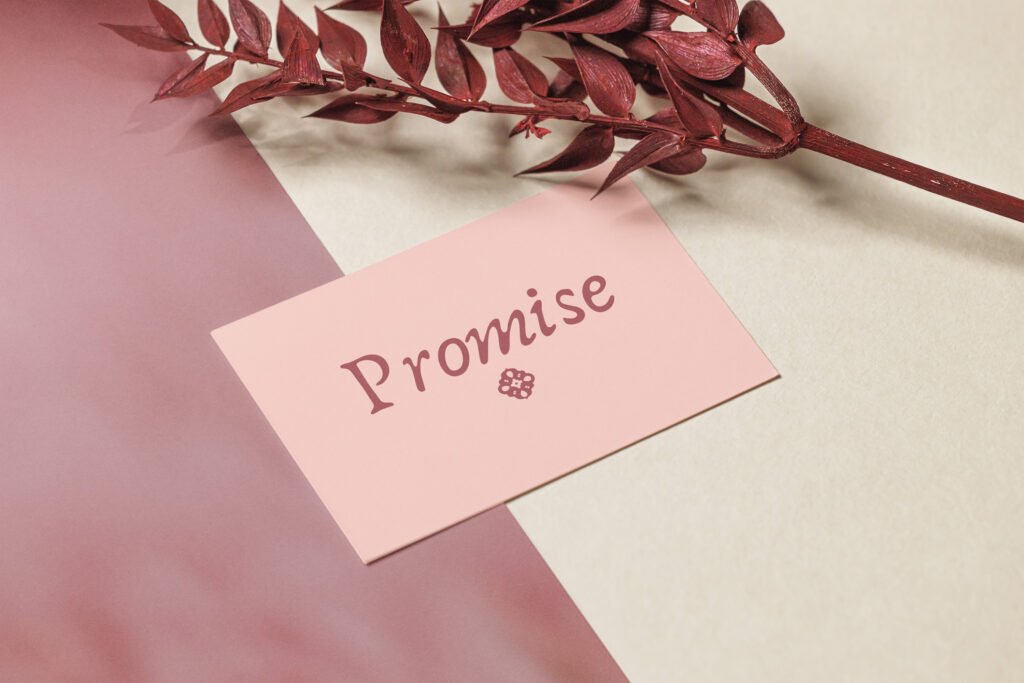 Mockup Logo principal Promise 