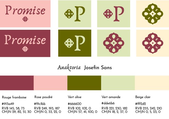 Brandboard Identité visuelle semi personnalisée Promise