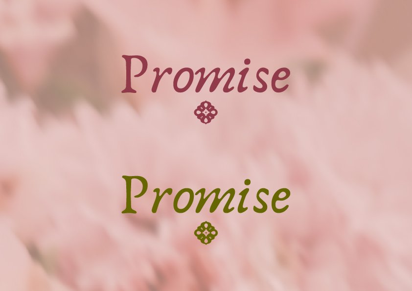Logo principal  Identité visuelle semi personnalisée Promise fond clair